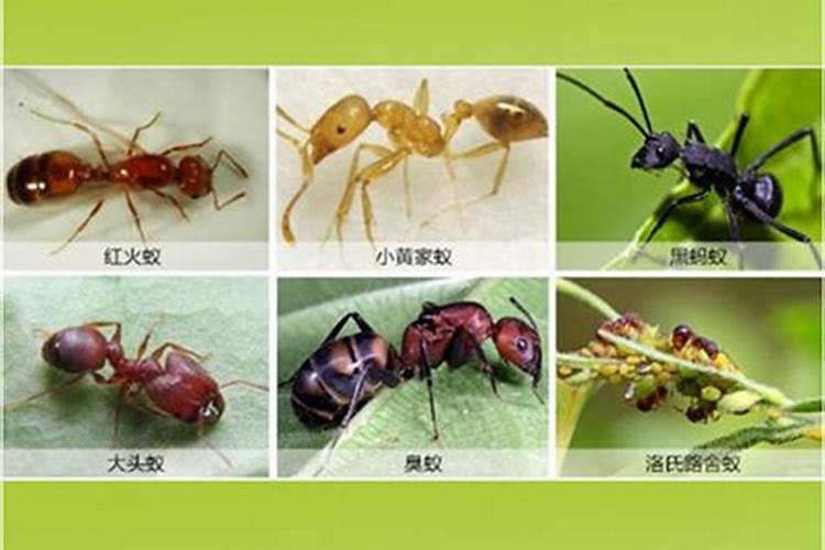 奥力ky32c风轮使用步骤详解