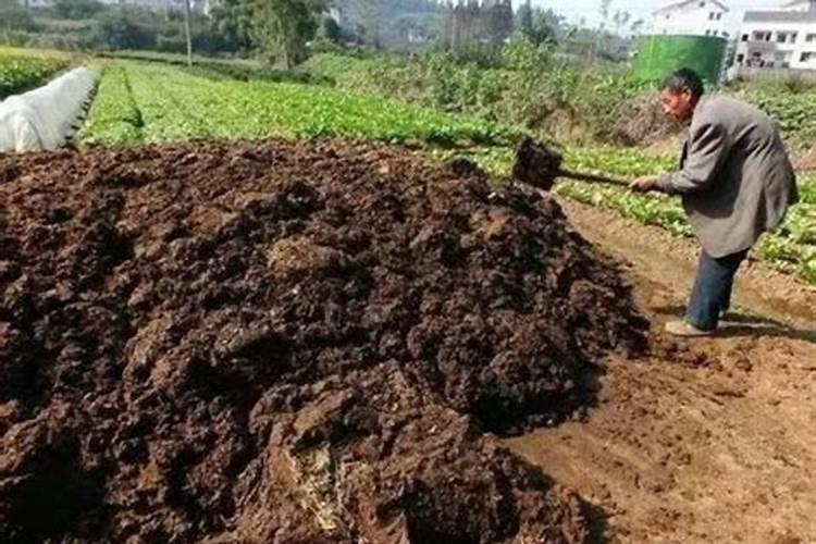 人畜的粪 是哪种肥？ 是 氮肥？是磷肥？还是 钾肥？