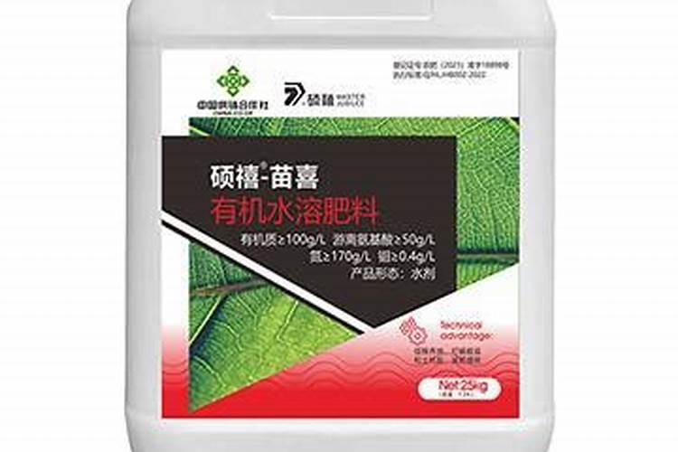 黄桃树施肥时间和方法