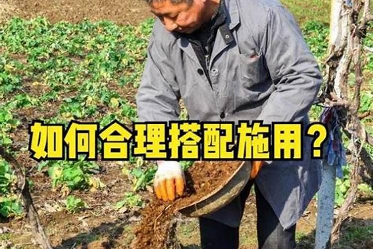 喷过磷酸二氢钾的蔬菜能吃吗 喷过磷酸二氢钾的蔬菜能不能吃百度...