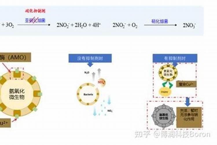 复合肥含量越高越好吗为什么
