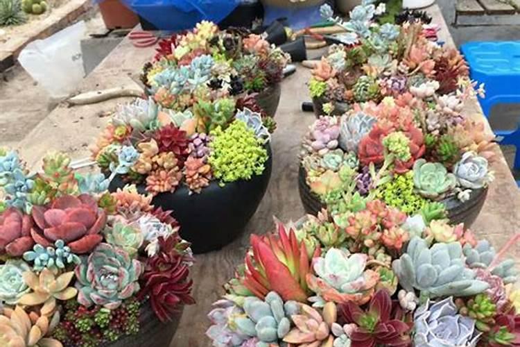 兰溪吉吉彩肥业有限公司怎么样？