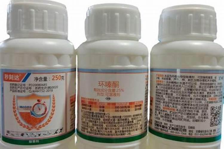 柿子树用什么肥料最好