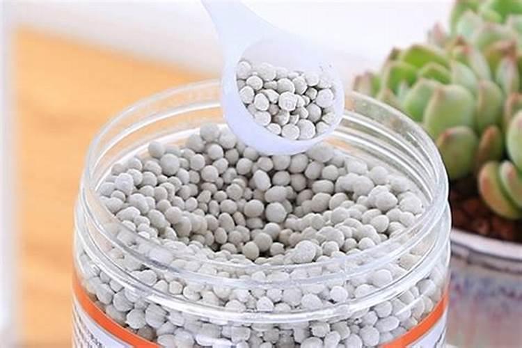 夏天花可以施肥吗