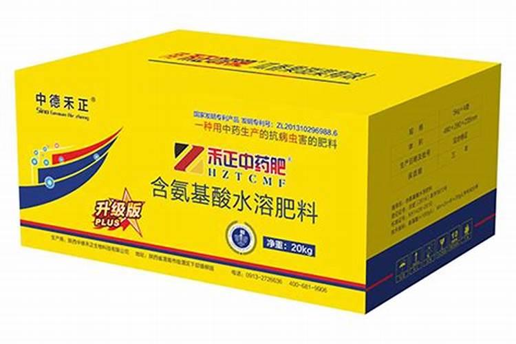 怎么让巴西木长的快