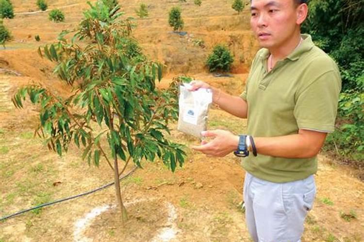 生大豆沤肥的方法