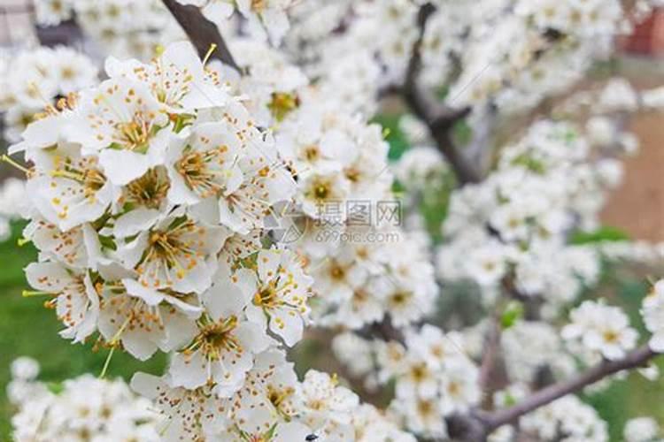 喜路电动车是名牌嘛