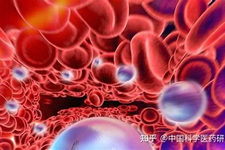 木材的锯末能当农作物肥料吗 木屑怎么加工发酵成有机肥