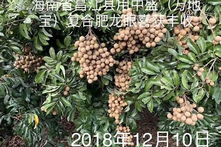 化肥的发展趋势？