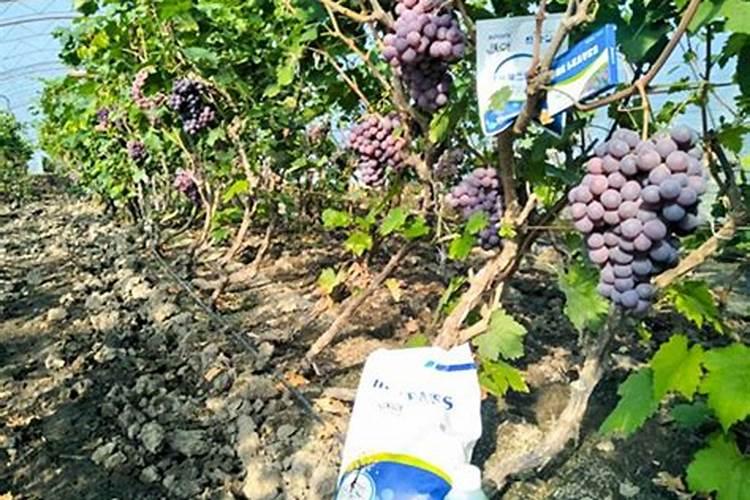 常见的氮肥、磷肥、钾肥、复合肥有哪些……