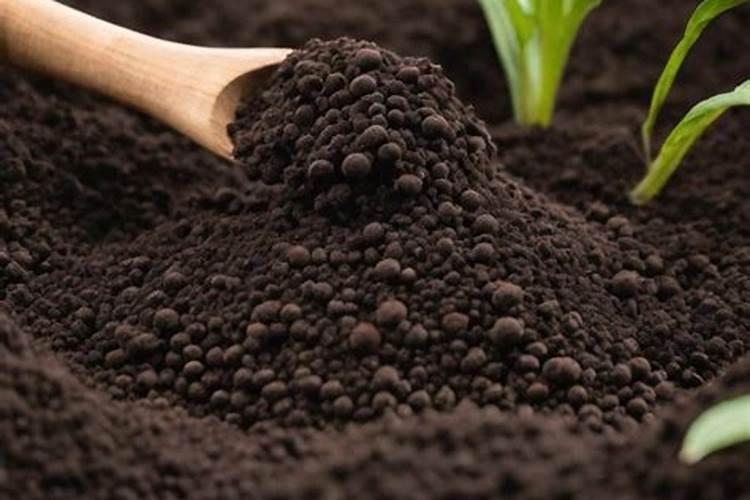 有机肥和土搅拌在一起栽花可以吗