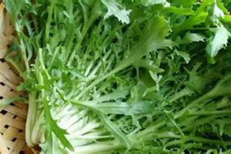茂施控释尿素特点
