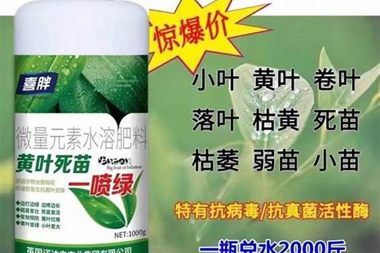 种花生用什么肥料最好高产？种花生用什么肥料做底肥？