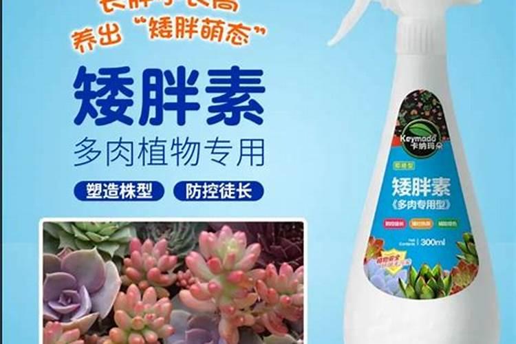 蚯蚓粪有机肥有什么作用？