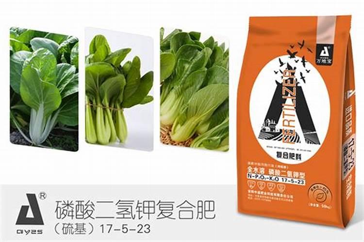 浙江省衢州市什么时候播种胡萝卜苗？