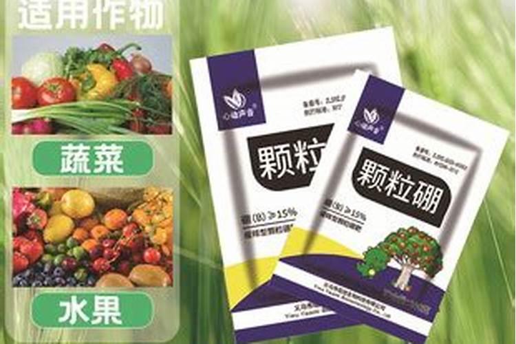 蓝莓用什么肥料最合适 怎样给蓝莓施肥
