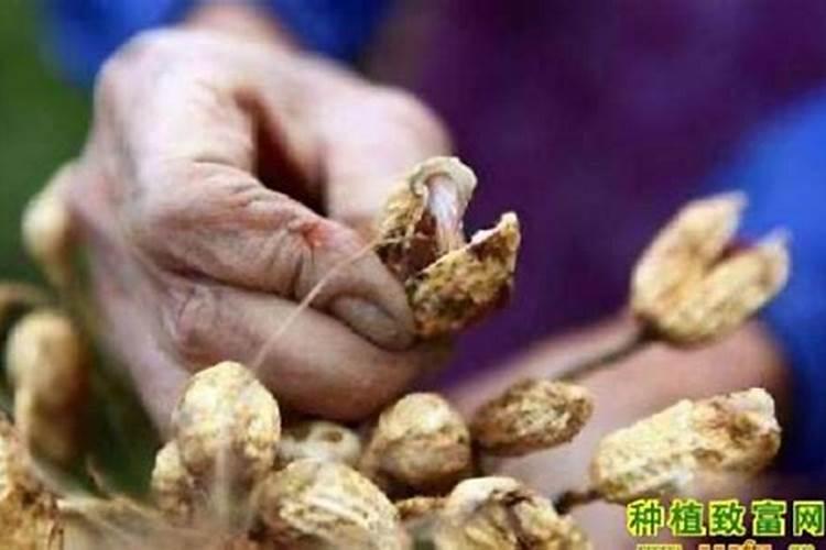 罗布泊为什么会成为有去无回的“死亡之海”？