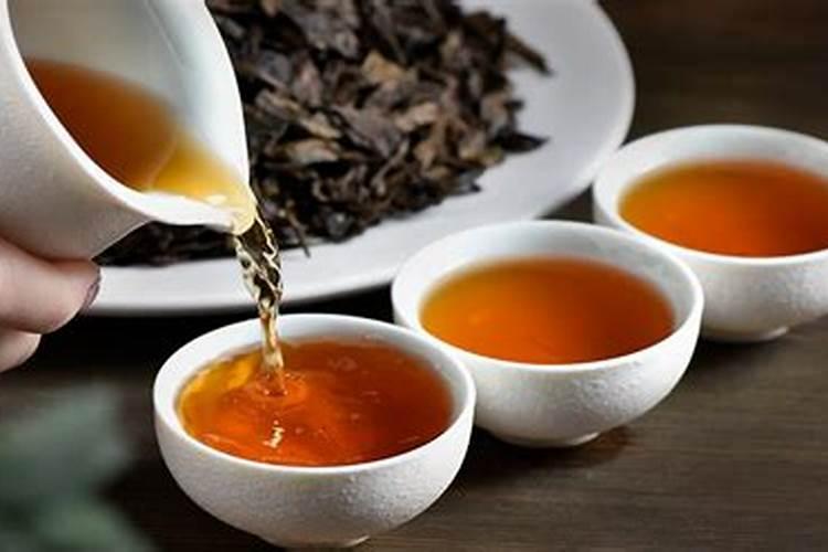 玉龙草怎么施肥呢？