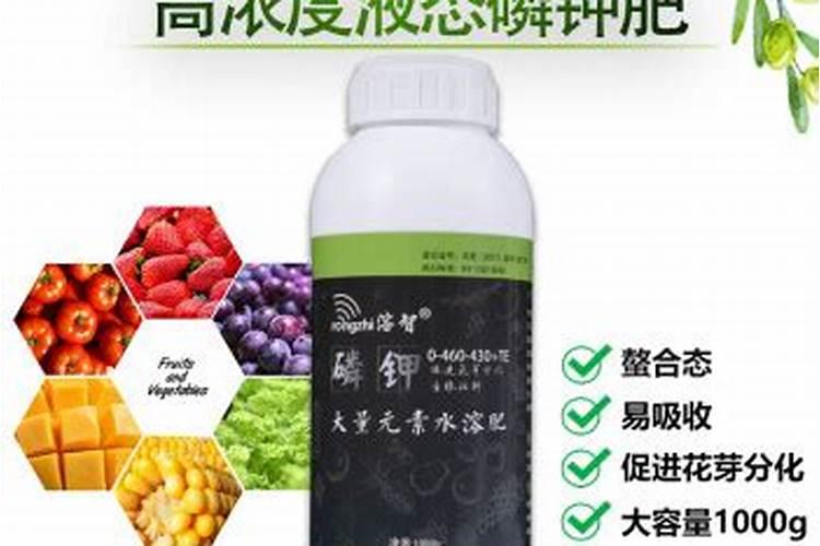 阳台种菜什么时间施肥好？早晨？中午？晚上？还不能污染空气,封闭式阳台...