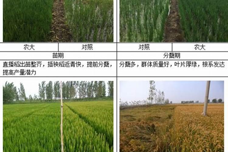 肥料企业 之间怎样进行有效整合