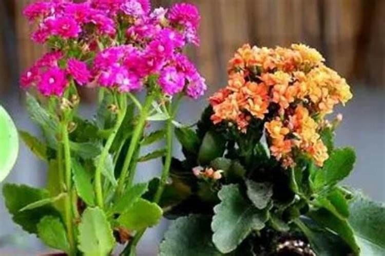 什么是金属甩干机,金属脱油机