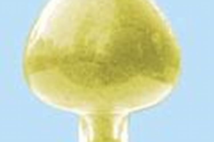 矿源黄腐酸钾冲施肥,矿源黄腐酸钾多少钱一点吨,矿源黄腐酸钾抗病虫害...