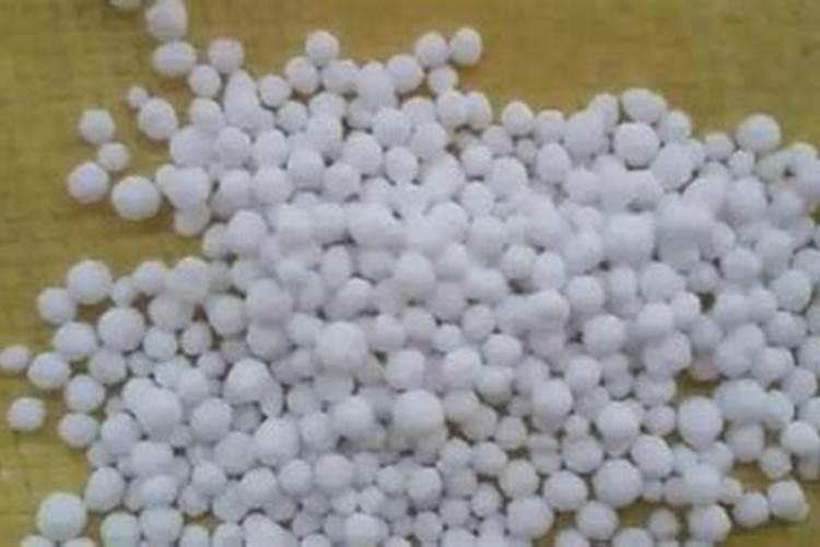 氮肥适合哪些植物与花