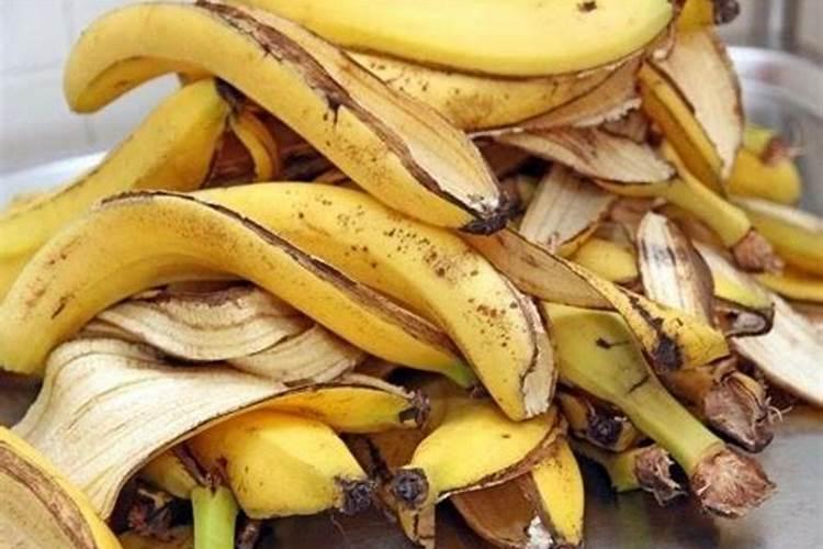 香蕉皮是属于氮肥还是钾肥