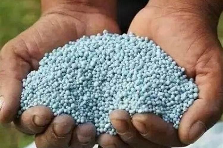 网上买的彩色复合肥是真的吗