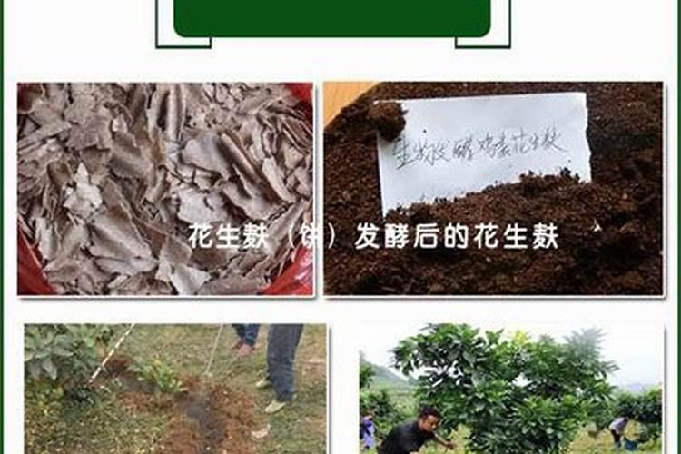 花生饼做肥料如何发酵