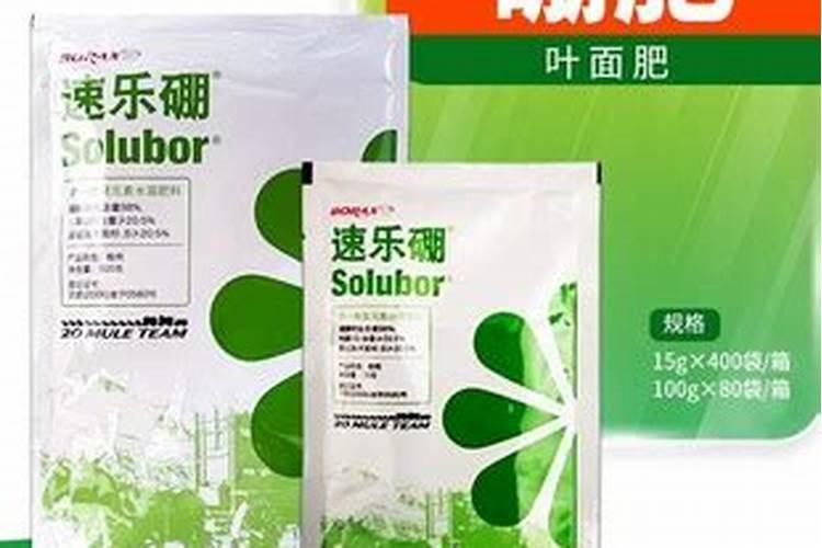 果树用什么硼肥好