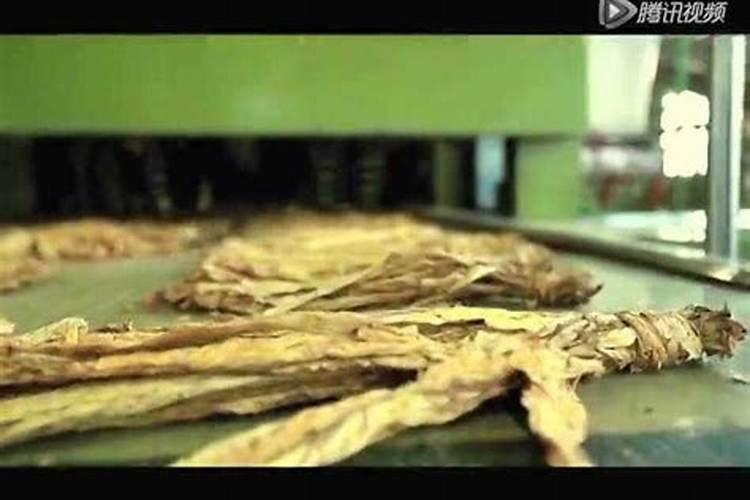 王多多事件是什么