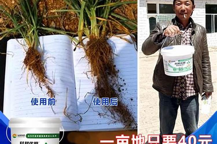 花生麸不发酵可以用吗