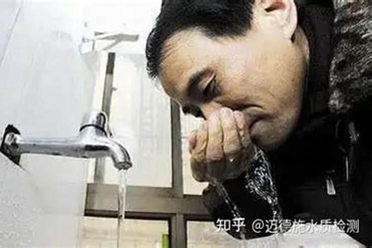 覃塘毛尖的产地在哪里 覃塘毛尖的产地在什么地方