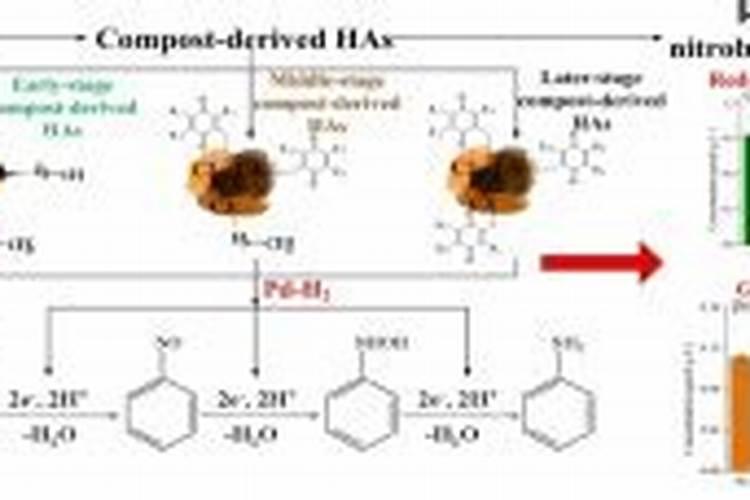 杨树施肥是尿素好还是复合肥好