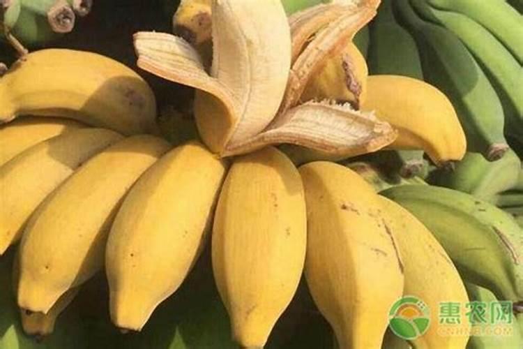 湖南有哪些大型肥料生产基地