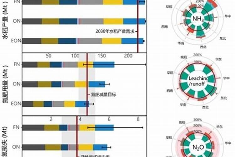 new baillon是什么？
