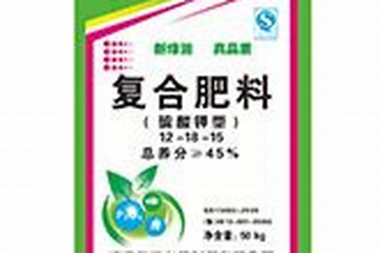 大棚架豆王开花管理
