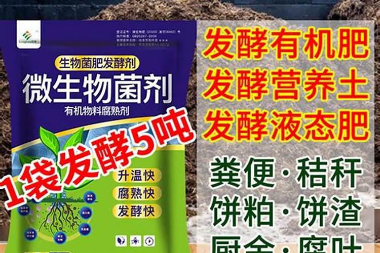 叶碧仙多大岁数