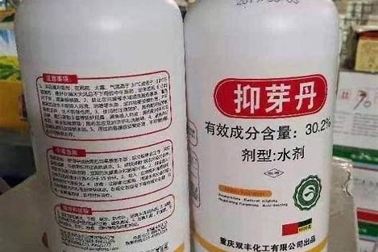 果树缺磷会出现哪些症状？