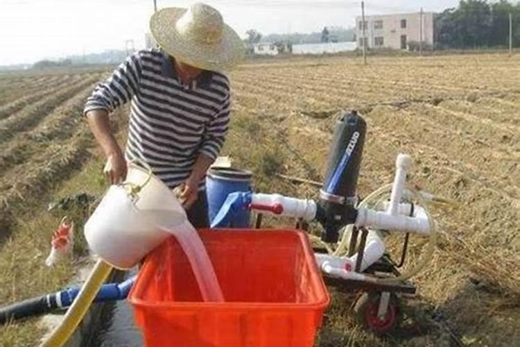 谁知道水稻腐殖酸螯肥的作用是什么？