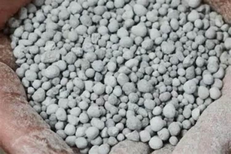 兴达甜叶菊苗的最新生产工艺流程