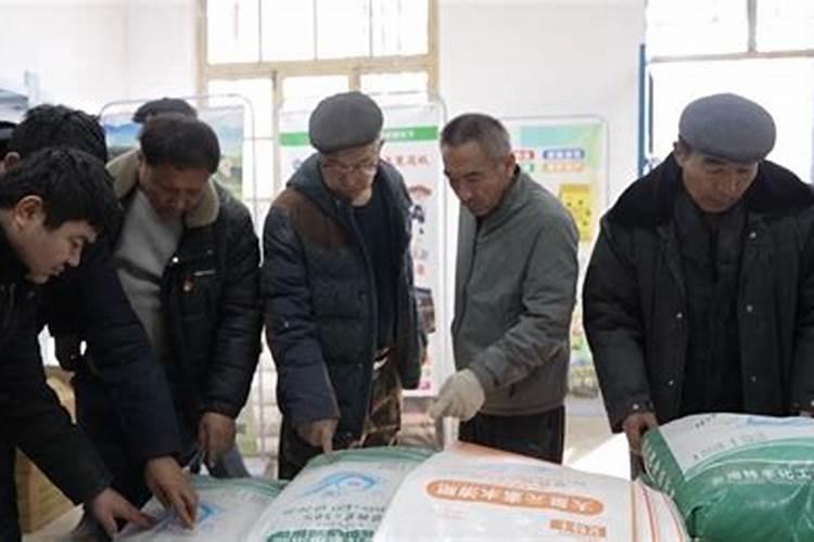 春天葡萄树发芽时施什么肥