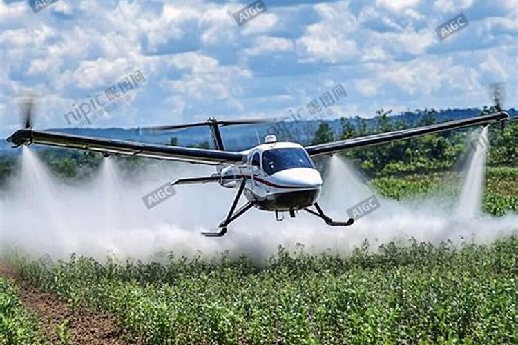 农用水壶可以浇菜吗