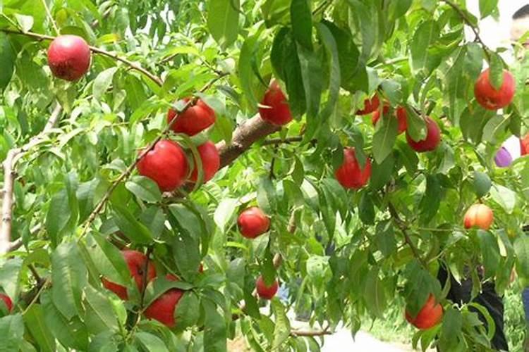 兰州那种大桶水比较好。