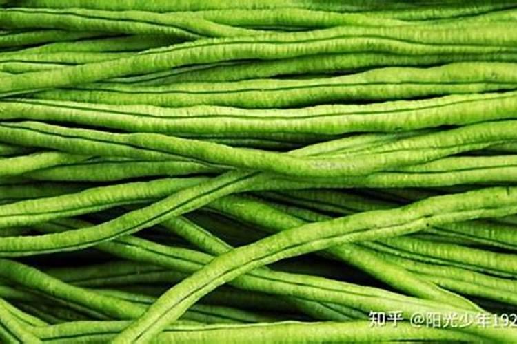 豆角怎么管理才能高产