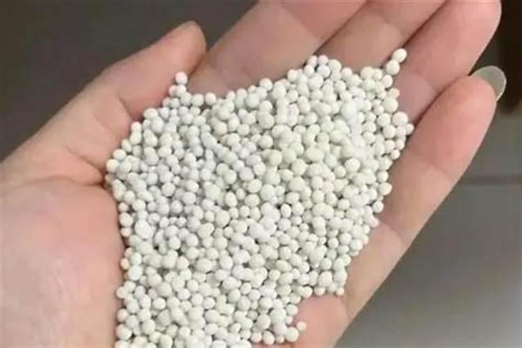 秋季白菜种什么品种好