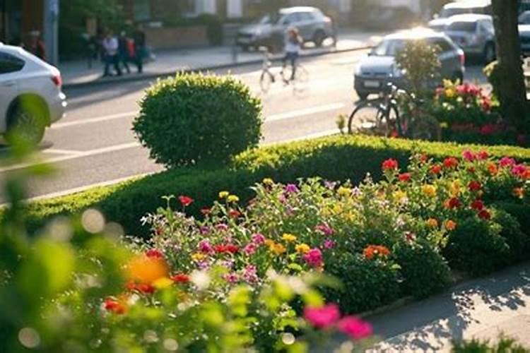 白兰花用什么肥料最好(白兰花怎么施肥长得快开花多)