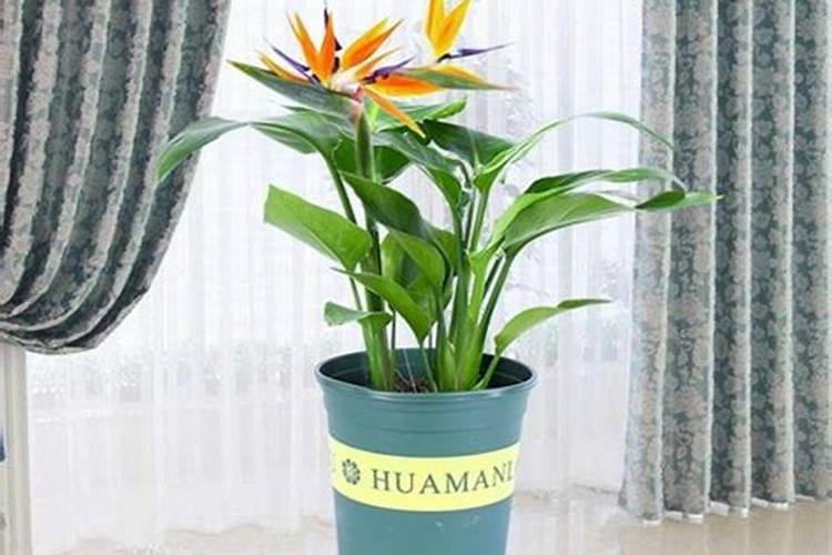 量子产品都有哪些,量子产品对人体的副作用曝光