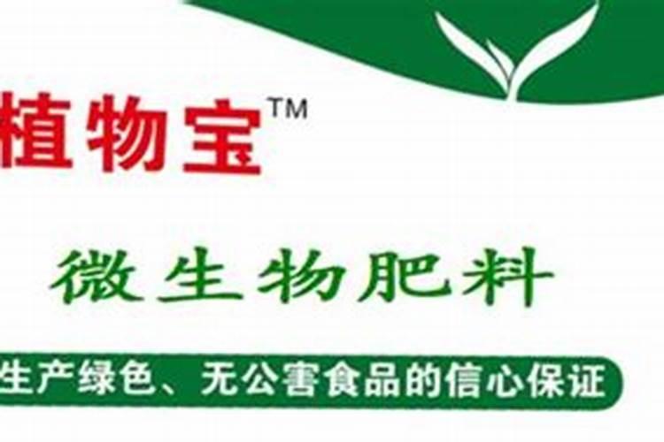买花送的肥怎么使用正确,绿叶宝肥料使用方法